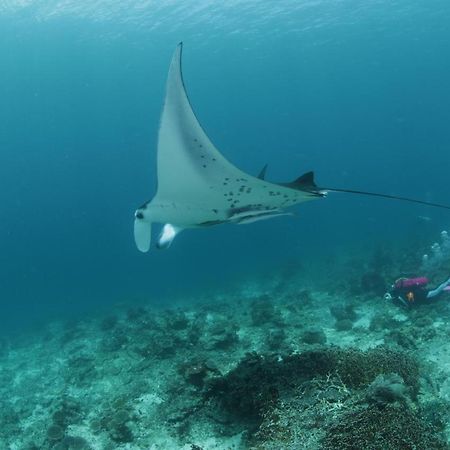 Coriana Dive Resort Waisai Exterior foto